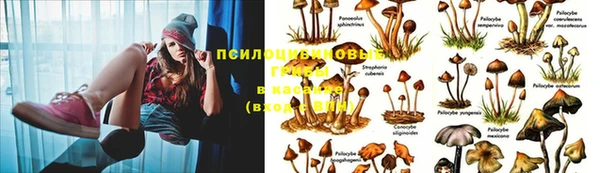 кокс Осинники