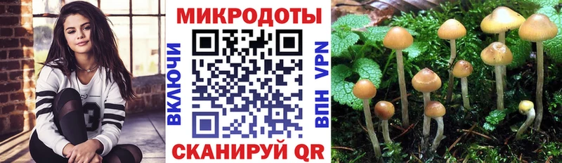 Галлюциногенные грибы Cubensis  что такое   Северо-Курильск 